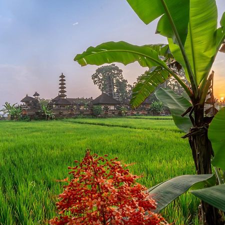 Your Dream Getaway Awaits - Villa In Ubud Offering Unmatched Temple Views! Luaran gambar