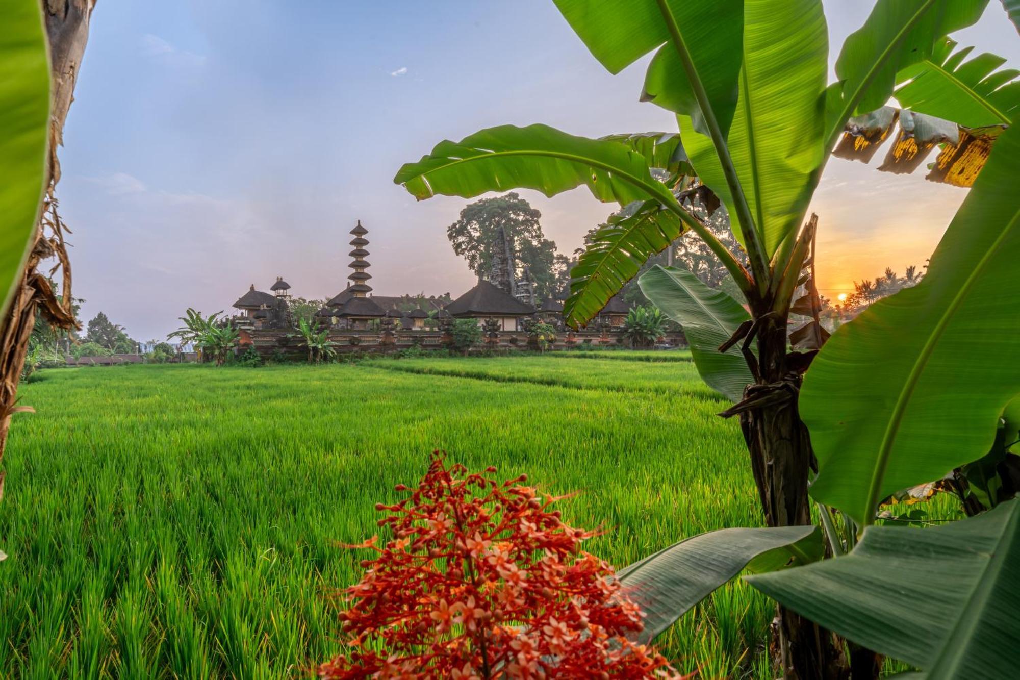 Your Dream Getaway Awaits - Villa In Ubud Offering Unmatched Temple Views! Luaran gambar